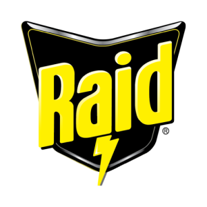 Raid